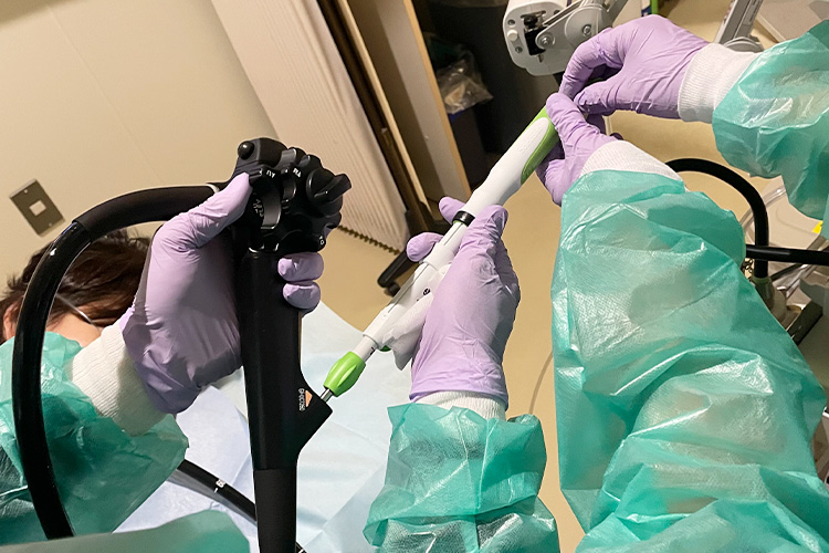 肝・胆・膵グループ